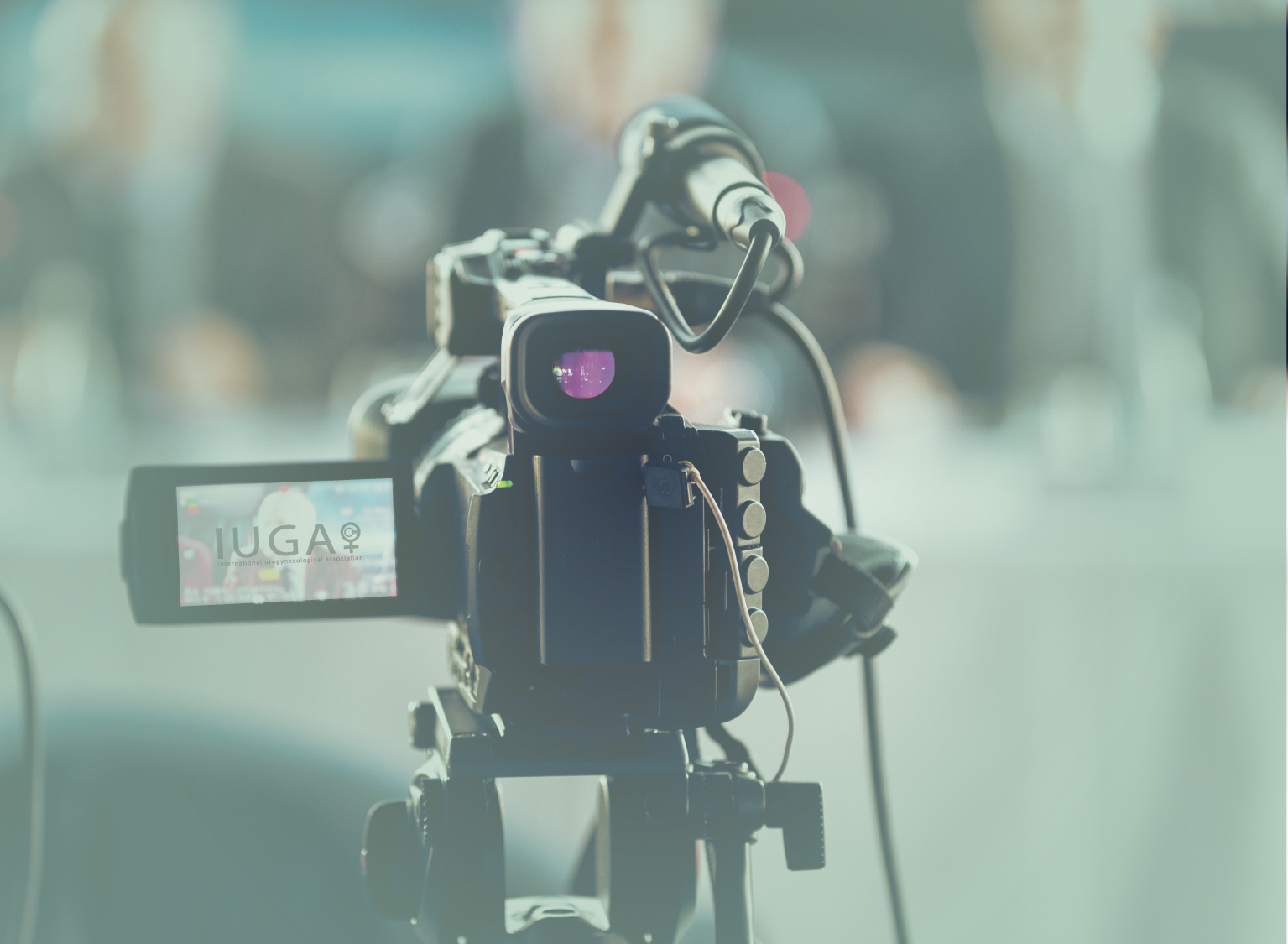 iuga2020.website-hero4-img.jpg